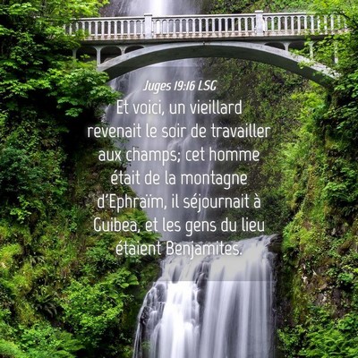 Picture 04 - Juges 19:16 LSG - Et voici, un vieillard revenait le soir de - Bible Verse Picture