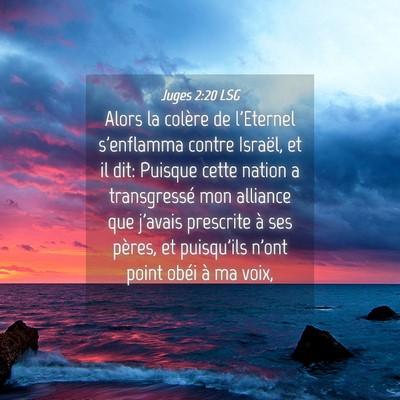 Picture 04 - Juges 2:20 LSG - Alors la colère de l'Eternel s'enflamma contre - Bible Verse Picture