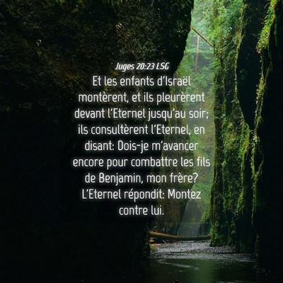Picture 04 - Juges 20:23 LSG - Et les enfants d'Israël montèrent, et ils - Bible Verse Picture