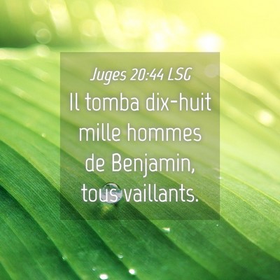 Picture 04 - Juges 20:44 LSG - Il tomba dix-huit mille hommes de Benjamin, tous - Bible Verse Picture