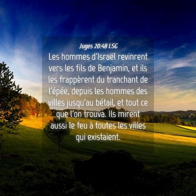 Picture 04 - Juges 20:48 LSG - Les hommes d'Israël revinrent vers les fils de - Bible Verse Picture