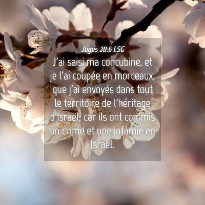 Picture 04 - Juges 20:6 LSG - J'ai saisi ma concubine, et je l'ai coupée en - Bible Verse Picture