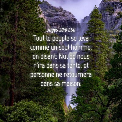Picture 04 - Juges 20:8 LSG - Tout le peuple se leva comme un seul homme, en - Bible Verse Picture