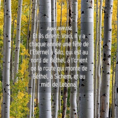 Picture 04 - Juges 21:19 LSG - Et ils dirent: Voici, il y a chaque année une - Bible Verse Picture