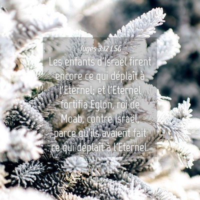 Picture 04 - Juges 3:12 LSG - Les enfants d'Israël firent encore ce qui - Bible Verse Picture