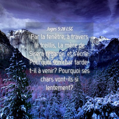 Picture 04 - Juges 5:28 LSG - Par la fenêtre, à travers le treillis, La mère - Bible Verse Picture