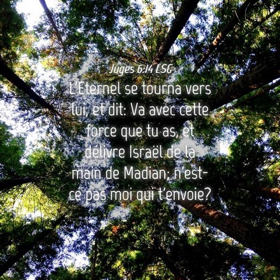 Picture 04 - Juges 6:14 LSG - L'Eternel se tourna vers lui, et dit: Va avec - Bible Verse Picture
