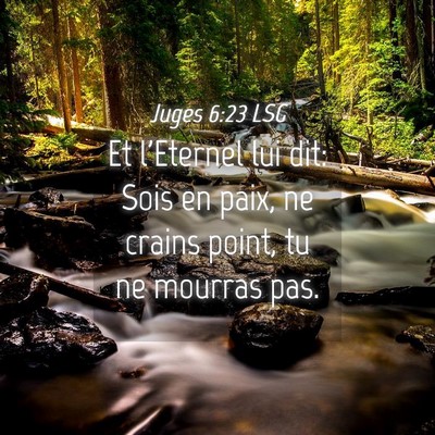 Picture 04 - Juges 6:23 LSG - Et l'Eternel lui dit: Sois en paix, ne crains - Bible Verse Picture