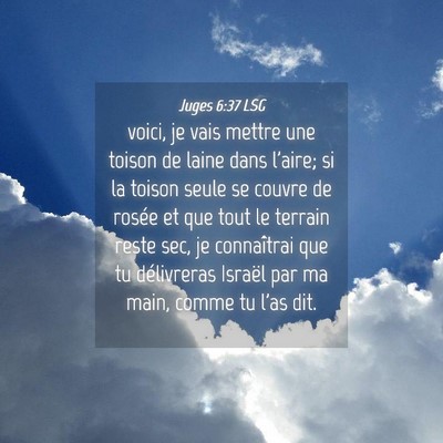 Picture 04 - Juges 6:37 LSG - voici, je vais mettre une toison de laine dans - Bible Verse Picture