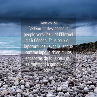 Picture 04 - Juges 7:5 LSG - Gédéon fit descendre le peuple vers l'eau, et - Bible Verse Picture