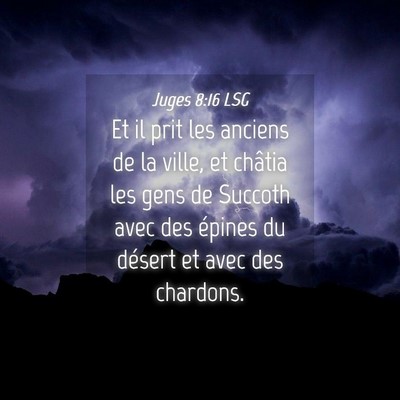 Picture 04 - Juges 8:16 LSG - Et il prit les anciens de la ville, et châtia - Bible Verse Picture