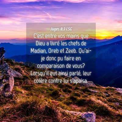 Picture 04 - Juges 8:3 LSG - C'est entre vos mains que Dieu a livré les chefs - Bible Verse Picture