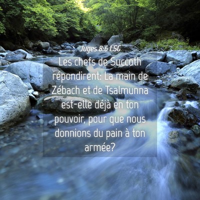 Picture 04 - Juges 8:6 LSG - Les chefs de Succoth répondirent: La main de - Bible Verse Picture
