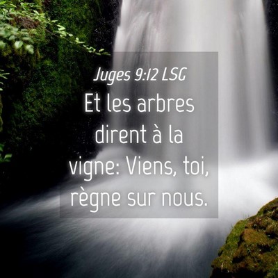 Picture 04 - Juges 9:12 LSG - Et les arbres dirent à la vigne: Viens, toi, - Bible Verse Picture