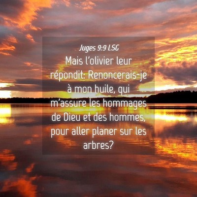 Picture 04 - Juges 9:9 LSG - Mais l'olivier leur répondit: Renoncerais-je à - Bible Verse Picture