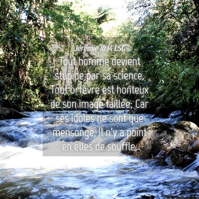 Picture 04 - Jérémie 10:14 LSG - Tout homme devient stupide par sa science, Tout - Bible Verse Picture