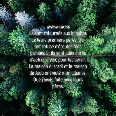 Picture 04 - Jérémie 11:10 LSG - Ils sont retournés aux iniquités de leurs - Bible Verse Picture
