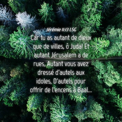Picture 04 - Jérémie 11:13 LSG - Car tu as autant de dieux que de villes, ô Juda! - Bible Verse Picture