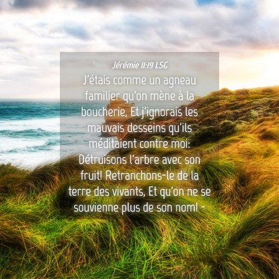 Picture 04 - Jérémie 11:19 LSG - J'étais comme un agneau familier qu'on mène à - Bible Verse Picture