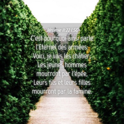 Picture 04 - Jérémie 11:22 LSG - C'est pourquoi ainsi parle l'Eternel des armées: - Bible Verse Picture