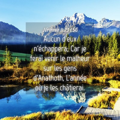 Picture 04 - Jérémie 11:23 LSG - Aucun d'eux n'échappera; Car je ferai venir le - Bible Verse Picture
