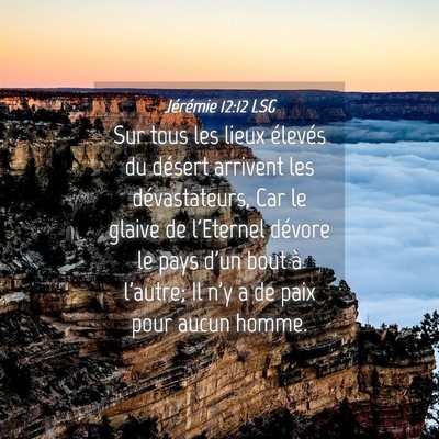 Picture 04 - Jérémie 12:12 LSG - Sur tous les lieux élevés du désert arrivent - Bible Verse Picture
