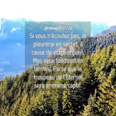 Picture 04 - Jérémie 13:17 LSG - Si vous n'écoutez pas, Je pleurerai en secret, - Bible Verse Picture