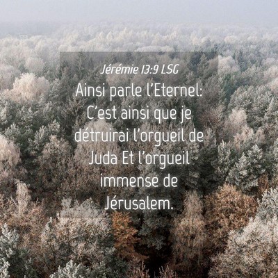 Picture 04 - Jérémie 13:9 LSG - Ainsi parle l'Eternel: C'est ainsi que je - Bible Verse Picture