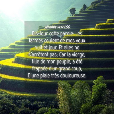 Picture 04 - Jérémie 14:17 LSG - Dis-leur cette parole: Les larmes coulent de mes - Bible Verse Picture
