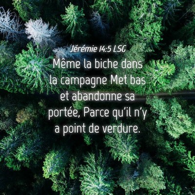 Picture 04 - Jérémie 14:5 LSG - Même la biche dans la campagne Met bas et - Bible Verse Picture