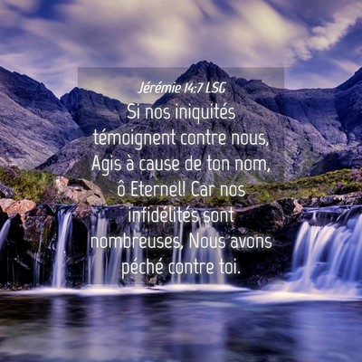 Picture 04 - Jérémie 14:7 LSG - Si nos iniquités témoignent contre nous, Agis - Bible Verse Picture