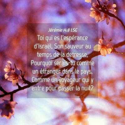 Picture 04 - Jérémie 14:8 LSG - Toi qui es l'espérance d'Israël, Son sauveur au - Bible Verse Picture