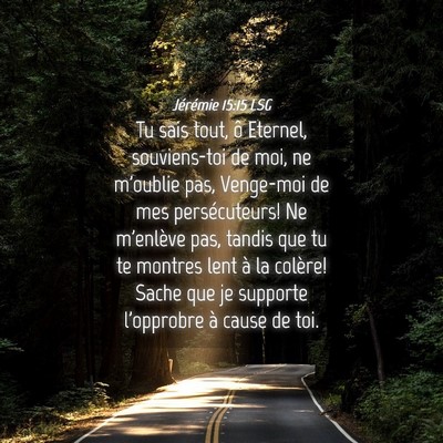 Picture 04 - Jérémie 15:15 LSG - Tu sais tout, ô Eternel, souviens-toi de moi, ne - Bible Verse Picture