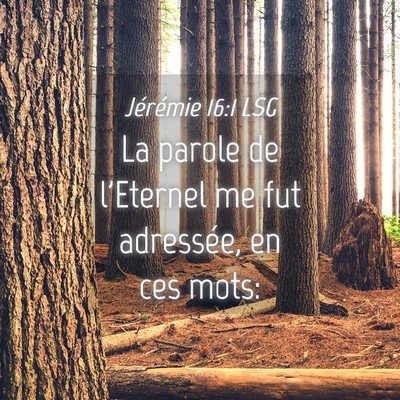 Picture 04 - Jérémie 16:1 LSG - La parole de l'Eternel me fut adressée, en ces - Bible Verse Picture