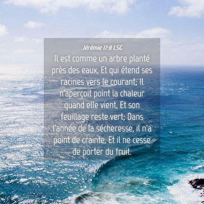 Picture 04 - Jérémie 17:8 LSG - Il est comme un arbre planté près des eaux, Et - Bible Verse Picture
