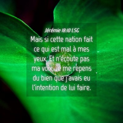 Picture 04 - Jérémie 18:10 LSG - Mais si cette nation fait ce qui est mal à mes - Bible Verse Picture
