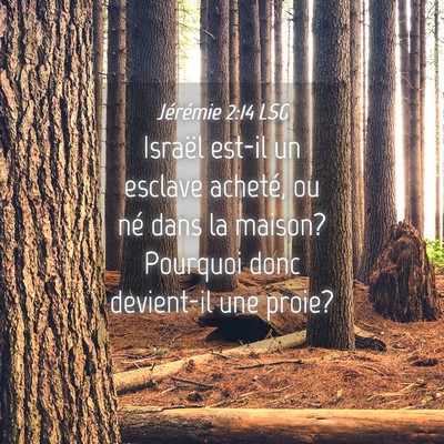 Picture 04 - Jérémie 2:14 LSG - Israël est-il un esclave acheté, ou né dans la - Bible Verse Picture