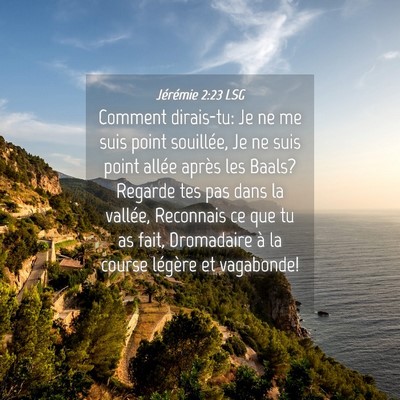 Picture 04 - Jérémie 2:23 LSG - Comment dirais-tu: Je ne me suis point souillée, - Bible Verse Picture