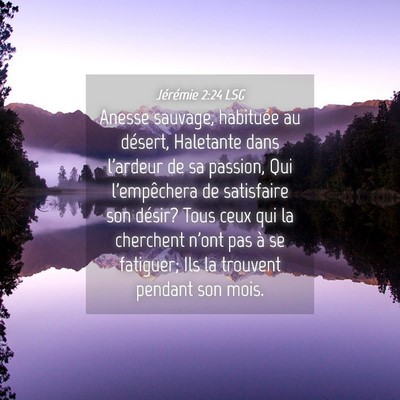 Picture 04 - Jérémie 2:24 LSG - Anesse sauvage, habituée au désert, Haletante - Bible Verse Picture