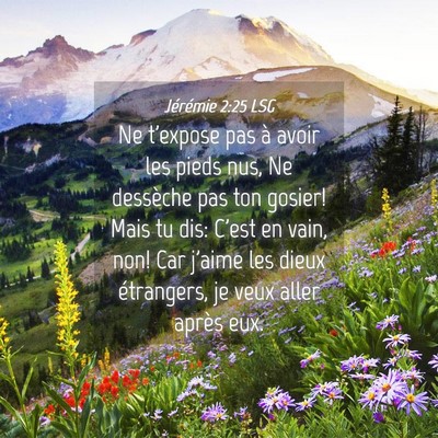 Picture 04 - Jérémie 2:25 LSG - Ne t'expose pas à avoir les pieds nus, Ne - Bible Verse Picture