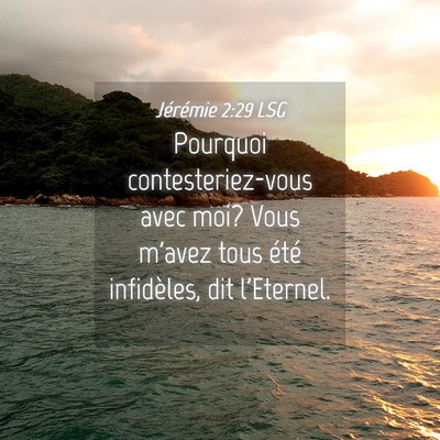 Picture 04 - Jérémie 2:29 LSG - Pourquoi contesteriez-vous avec moi? Vous m'avez - Bible Verse Picture