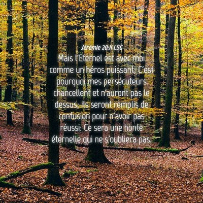 Picture 04 - Jérémie 20:11 LSG - Mais l'Eternel est avec moi comme un héros - Bible Verse Picture