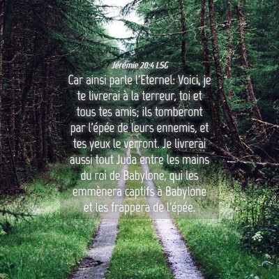 Picture 04 - Jérémie 20:4 LSG - Car ainsi parle l'Eternel: Voici, je te livrerai - Bible Verse Picture