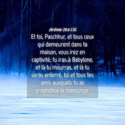 Picture 04 - Jérémie 20:6 LSG - Et toi, Paschhur, et tous ceux qui demeurent dans - Bible Verse Picture