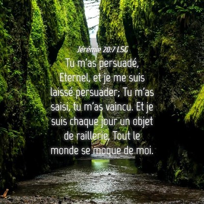 Picture 04 - Jérémie 20:7 LSG - Tu m'as persuadé, Eternel, et je me suis laissé - Bible Verse Picture