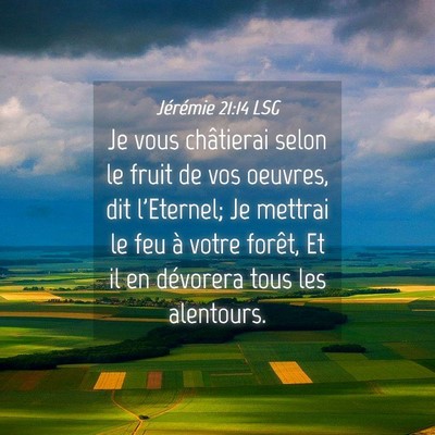 Picture 04 - Jérémie 21:14 LSG - Je vous châtierai selon le fruit de vos oeuvres, - Bible Verse Picture