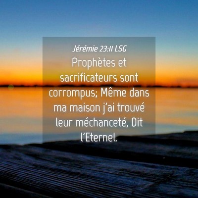 Picture 04 - Jérémie 23:11 LSG - Prophètes et sacrificateurs sont corrompus; - Bible Verse Picture