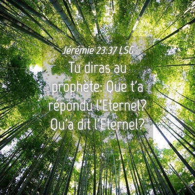 Picture 04 - Jérémie 23:37 LSG - Tu diras au prophète: Que t'a répondu - Bible Verse Picture