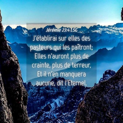 Picture 04 - Jérémie 23:4 LSG - J'établirai sur elles des pasteurs qui les - Bible Verse Picture