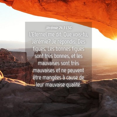 Picture 04 - Jérémie 24:3 LSG - L'Eternel me dit: Que vois-tu, Jérémie? Je - Bible Verse Picture